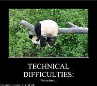     
: funny-pictures-panda-has-technical-difficulties1.jpg
: 58
:	27.3 
ID:	9370