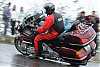     
: GoldWing-.jpg
: 137
:	139.7 
ID:	1939